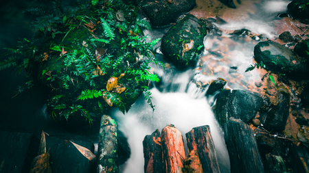 Wallpaper nature Waterfall stream. thailand doi-inthanon 