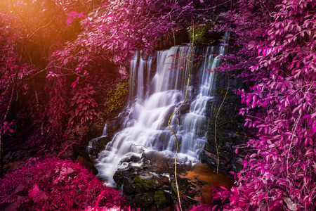 Natural background waterfall. waterfall Colorful leavesの写真素材