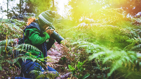 photographer Asian women Traveling photograph Nature. travel relax in the holiday walk in the forest. Thailand の写真素材