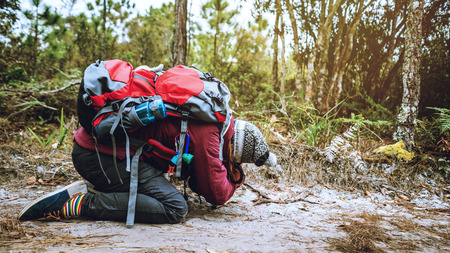 Photographer asian women Traveling photograph Nature. travel relax in the holiday walk in the forest. travel relax in the holiday.  Thailandの写真素材