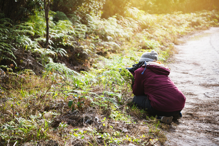 Photographer asian women Traveling photograph Nature. travel relax in the holiday walk in the forest. travel relax in the holiday.  Thailand の写真素材