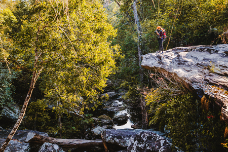 Photographer asian women Traveling photograph Nature. travel relax in the holiday walk in the forest. travel relax in the holiday.  Thailand の写真素材