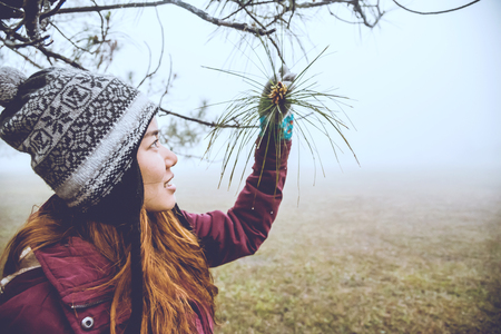 Asian woman travel nature. Travel relax. Stand landscapes natural Touch fog Under the pine. Thailandの写真素材