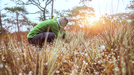 Photographer  asian woman travel  nature. Travel relax. Photography Nature Flowers. Nature Study in...