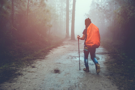 Asian man travel  nature. Travel relax. Backpack walk in the forest. Thailandの写真素材
