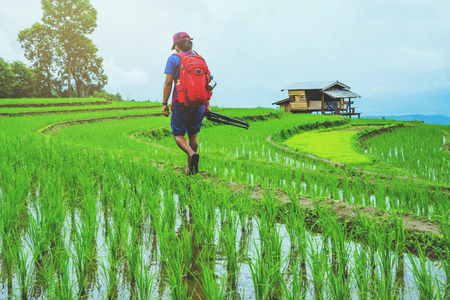 man asians travel nature. Travel relax. Walking take a photo on the field. in summer.の写真素材