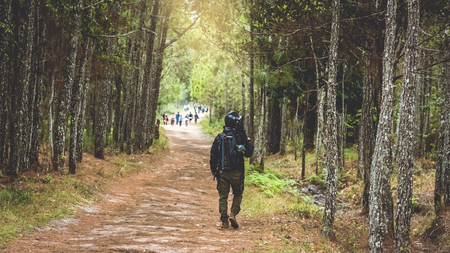 Photographer asian man Traveling photograph Nature. travel relax in the holiday walk in the forest....