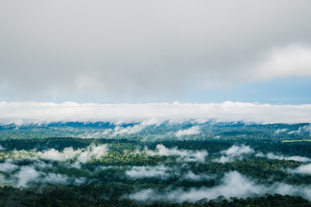 Landscape view top mountain forest. Asia Tropical. National park thailandの写真素材