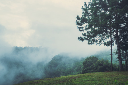 Landscape natural view sky mountain. Fog in the rainy season. Thailandの写真素材