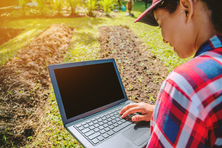 Asian woman using digital tablet in the cultivation of vegetable. modern technology application in agricultural growing activity.の写真素材