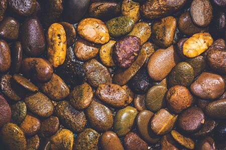 Background textured rock River. Wet stone texture. Dark brownの写真素材