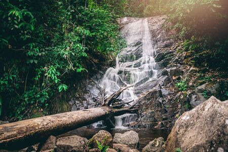 background Wallpaper nature Forest Hill Waterfall. thailand doi inthanon