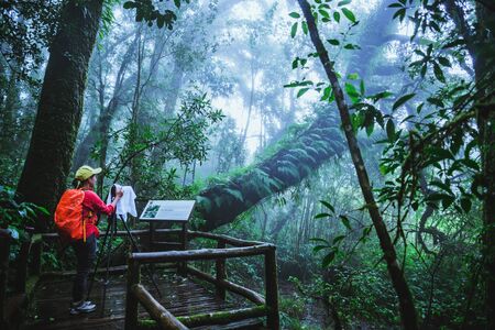 Asian women travel nature. Take a picture Nature Study in the Jungle at Chiangmai in Thailand.の写真素材