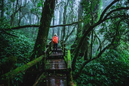 Asian women travel nature. Take a picture Nature Study in the Jungle at Chiangmai in Thailand.