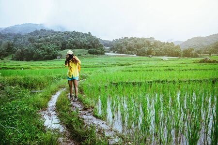 Asian woman travel nature Travel relax Walking take a photo on the rice field in rainy season.の写真素材