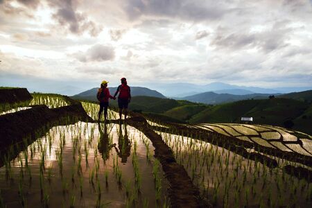 Travel nature lover asian woman and asian man walking take a photo on the field rice Sunset light in rainy season.の写真素材