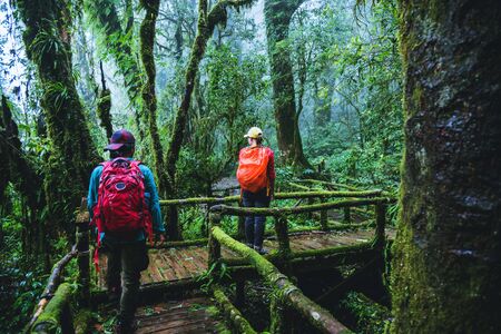Lover asian man and asian women travel nature. Nature Study in the rain forest at Chiangmai in Thailand.の写真素材
