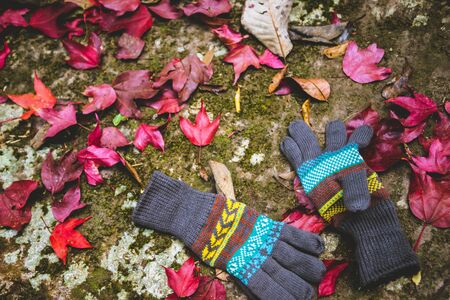 Natural background.Red maple leaves fall on the ground. And there are winter gloves. In Thailand