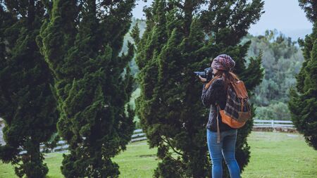 Asian women Travel photograph Nature at sheep farm at Doi Pha Tang, Doi Inthanon National Park, Chom...