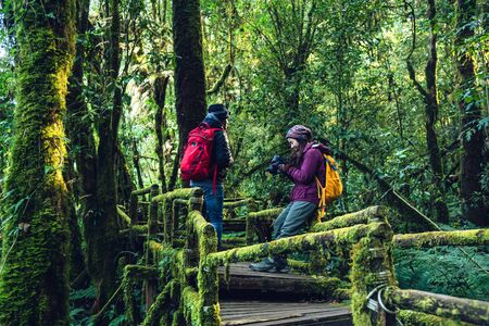 Couples traveling, relax in winter. walking travel to study nature in the rainforest. at the angka, Chiangmai in Thailand.の写真素材