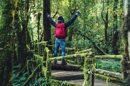 Young men travel to study nature in the rainforest. Walking on a bridge with many mosses and beautifulの写真素材