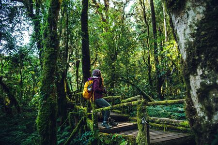 Young travel to study nature in the rainforest. sitting on a bridge with beautiful green moss at the angka, Chiangmai in Thailand.の写真素材