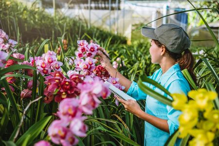 The girl notes the changes, orchid growth in the garden. Beautiful (Orchid) background in nature