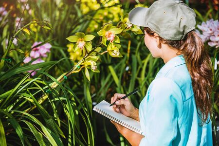 The girl notes the changes, orchid growth in the garden. Beautiful (Orchid) background in natureの写真素材