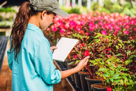 The girl are studying and Save the change of trees, flowers Beautiful (garden flower) background in nature farmersの写真素材