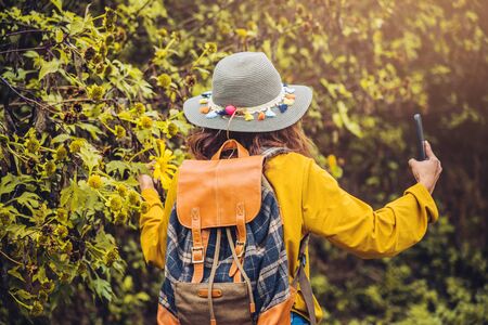 A girl with a backpack is using the phone to take selfie a picture of the Bua Tong flower yellow. "Mexican sunflower"の写真素材