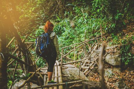 woman asia travelers travel nature Forests, mountains, waterfalls. Asian woman travel nature. Travel relax.の写真素材