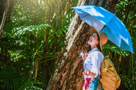 Asian women travel relax travel nature in the holiday. Nature Study in the forest. Girl happy walking smiling and enjoying travel through the mangrove forest. tha pom-klong-song-nam at krabi. summerの写真素材