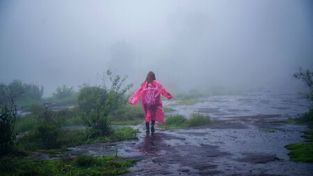 tourist with pink rain coat Stand View the scenery natural beautiful touch fog at Phu Hin Rong Kla...
