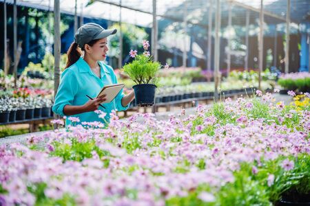 Young women working at the flower garden are studying and writing records of the changes of flower trees. Flower garden backgroundの写真素材