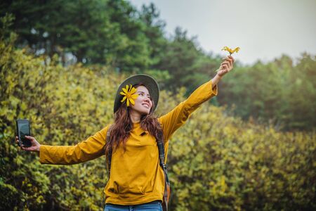 A girl with a backpack is using the phone to take selfie a picture of the Bua Tong flower yellow. "Mexican sunflower"の写真素材