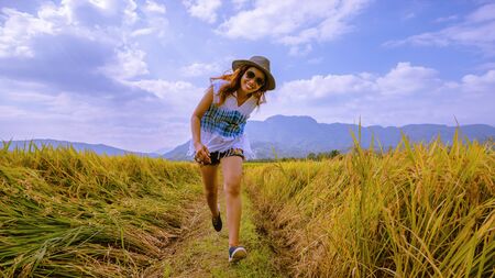 Asian women travel Rice fields Golden yellow On the mountains in the holiday. happy and enjoying a...