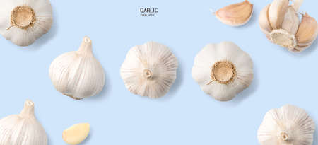 Garlic isolated on blue background. Cooking spicesの写真素材