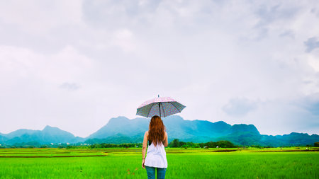 Asian women travel relax in the holiday. The women stood holds an umbrella in the rain happy and enjoying the rain that is falling. travelling in countrysde, Green rice fields, Travel Thailand.の写真素材