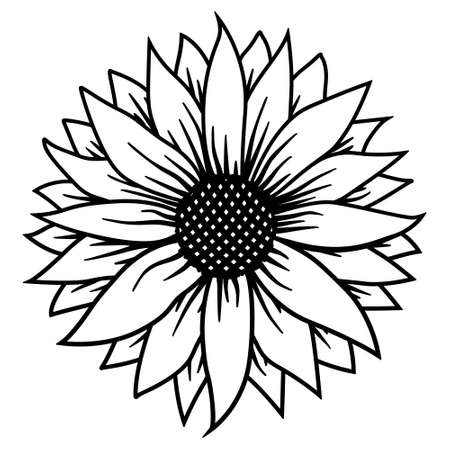 Sunflower outline vector, Summer Floral, Flower Clipart, Mandala Shirt, Sunflower Templateのイラスト素材
