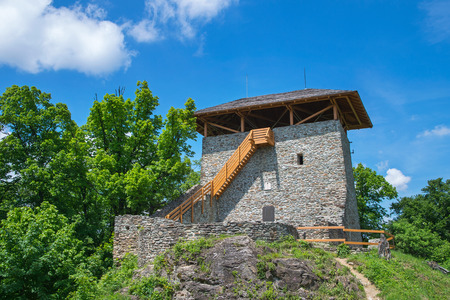Lookout tower in forest surrounded by treesのeditorial素材