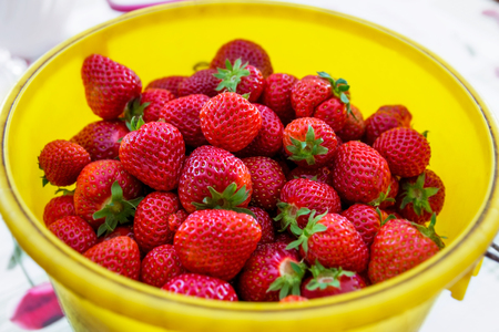 Strawberry in a yellow bucketの写真素材