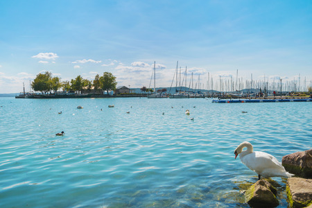 Port of Balatonfured and Lake Balaton with boats and birds in Hungaryの写真素材