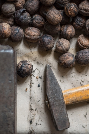 Whole walnuts on old table with anvil and nutcracker hammer closeup from aboveの写真素材