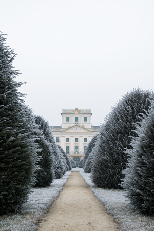 Esterhazy castle backyard in winter with yew trees, Fertodの写真素材