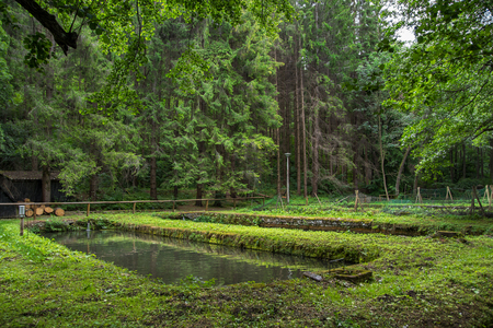 Trout pond in Szalajka Valley, Hungaryの写真素材
