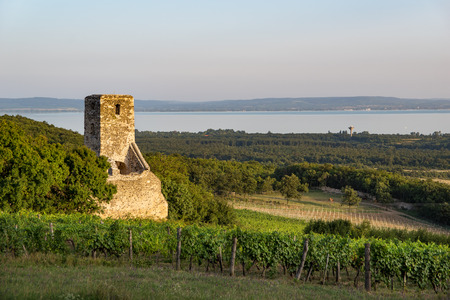 Church ruins near Lake Balaton, Hungaryの写真素材