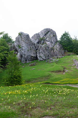 Giant rock in Dajti mountains, Albaniaの写真素材