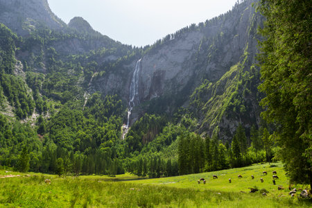 Rothbach waterfall near lake Konigssee in summer, Germanyの写真素材