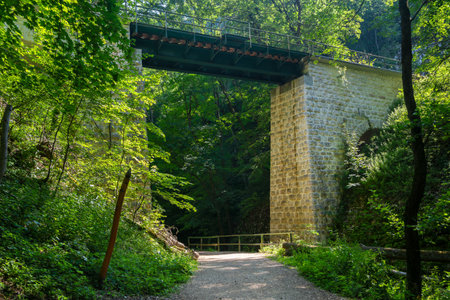 Railway bridge forest in Bakony, Hungaryの写真素材