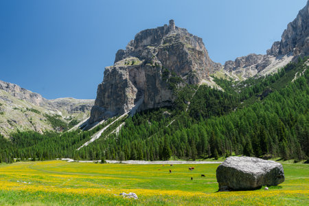 Vallunga Valley in Selva, Dolomites, Italyの写真素材